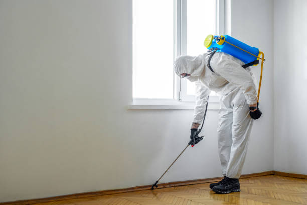 Reliable Wixom, MI Pest control Solutions